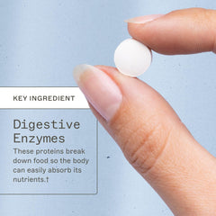 Enzyme blend breaking down peptides, proteins and carbohydrates