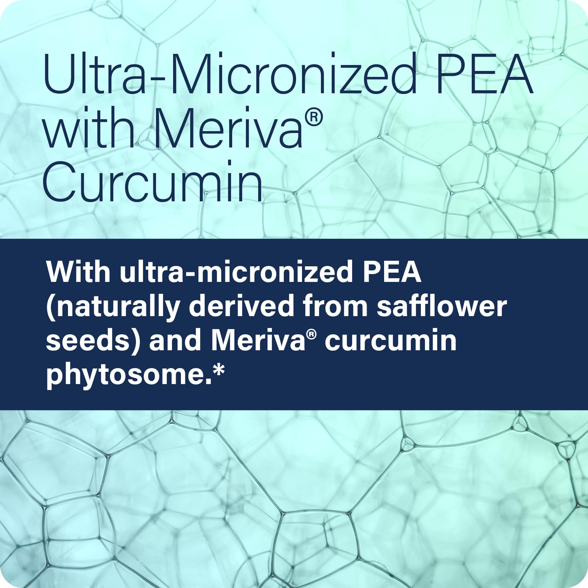 Pouring Enzyme Science PEA+ capsules demonstrates easy daily dosing.