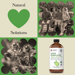 Graphic illustrating liver enzyme support