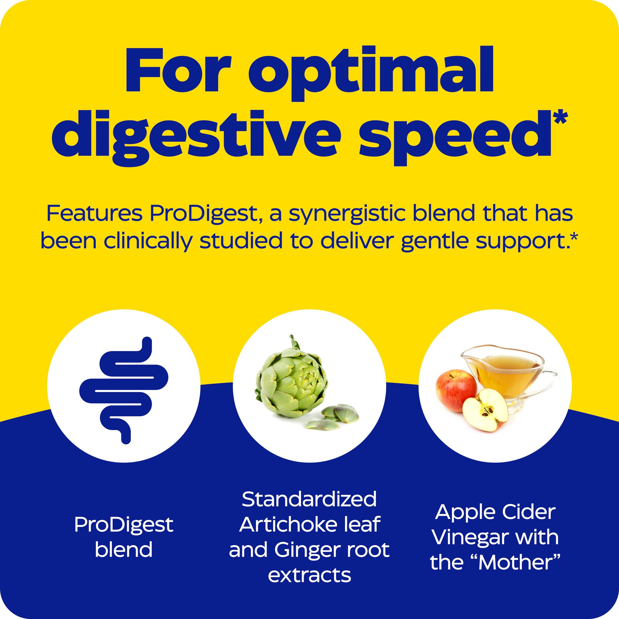 Enzymedica Gut Motility capsules showing tablet form.