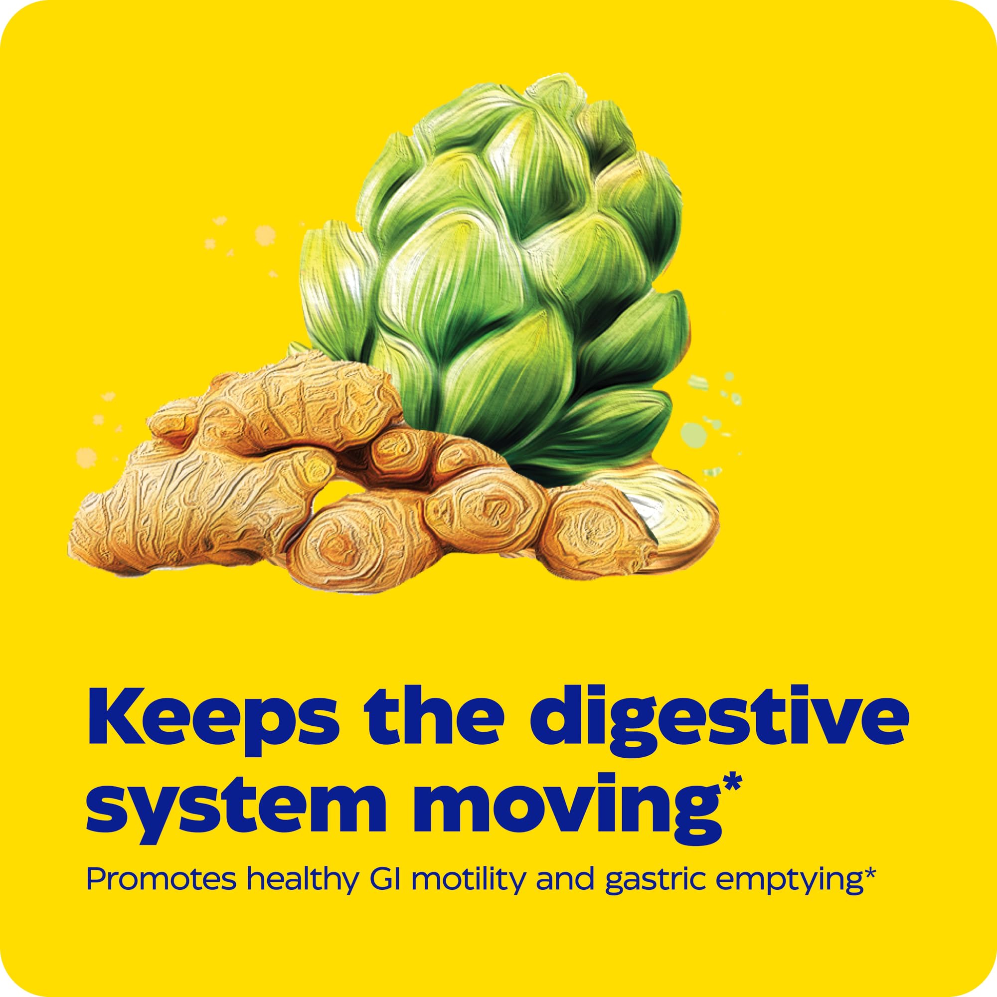Enzymedica Gut Motility close-up of plant-based ingredients.