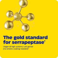 Enzymedica SerraGold ingredients graphic illustrating vegan serrapeptase benefits.