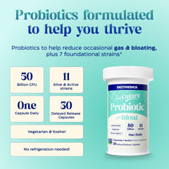 Bacillus subtilis BS50 in SubCulture Probiotics