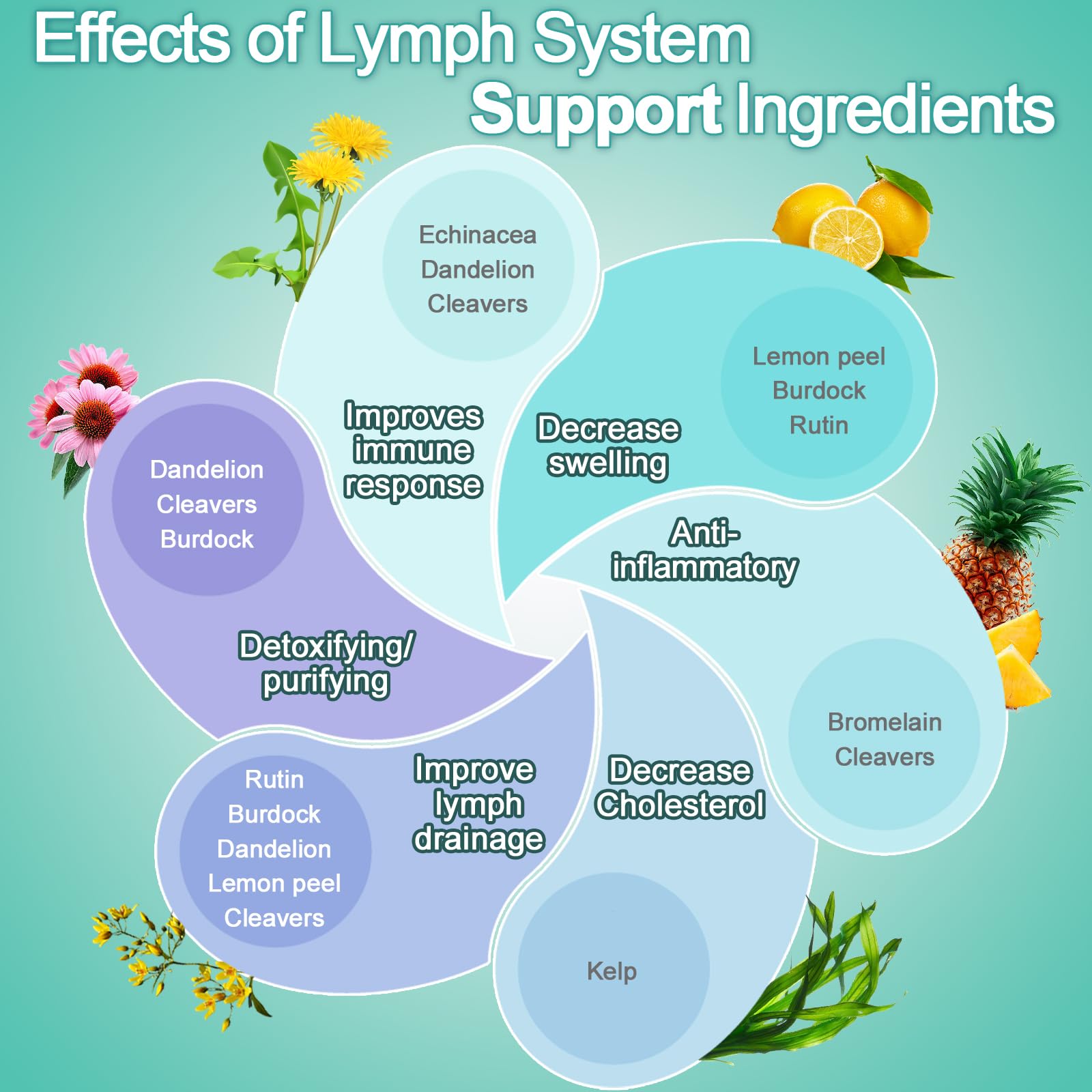 Natural botanical ingredients for lymph system support and overall wellness