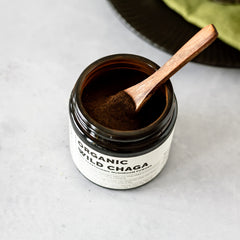 Chaga powder measured in a spoon