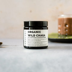 Raw Inonotus obliquus chaga mushroom pieces