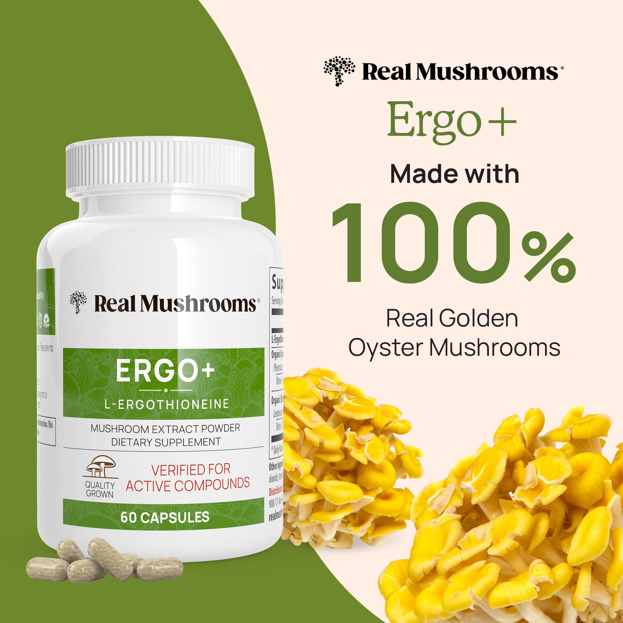 Close-up of Golden Oyster mushroom extract for L-Ergothioneine