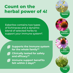 Close-up of herbal ingredients used in ESBERITOX