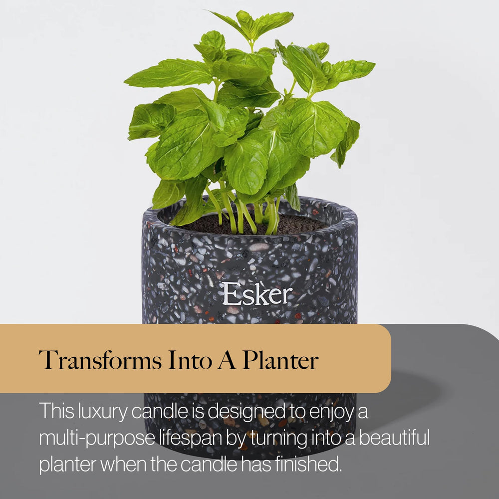 ESKER Travertine candle soil pod ready for planting after use