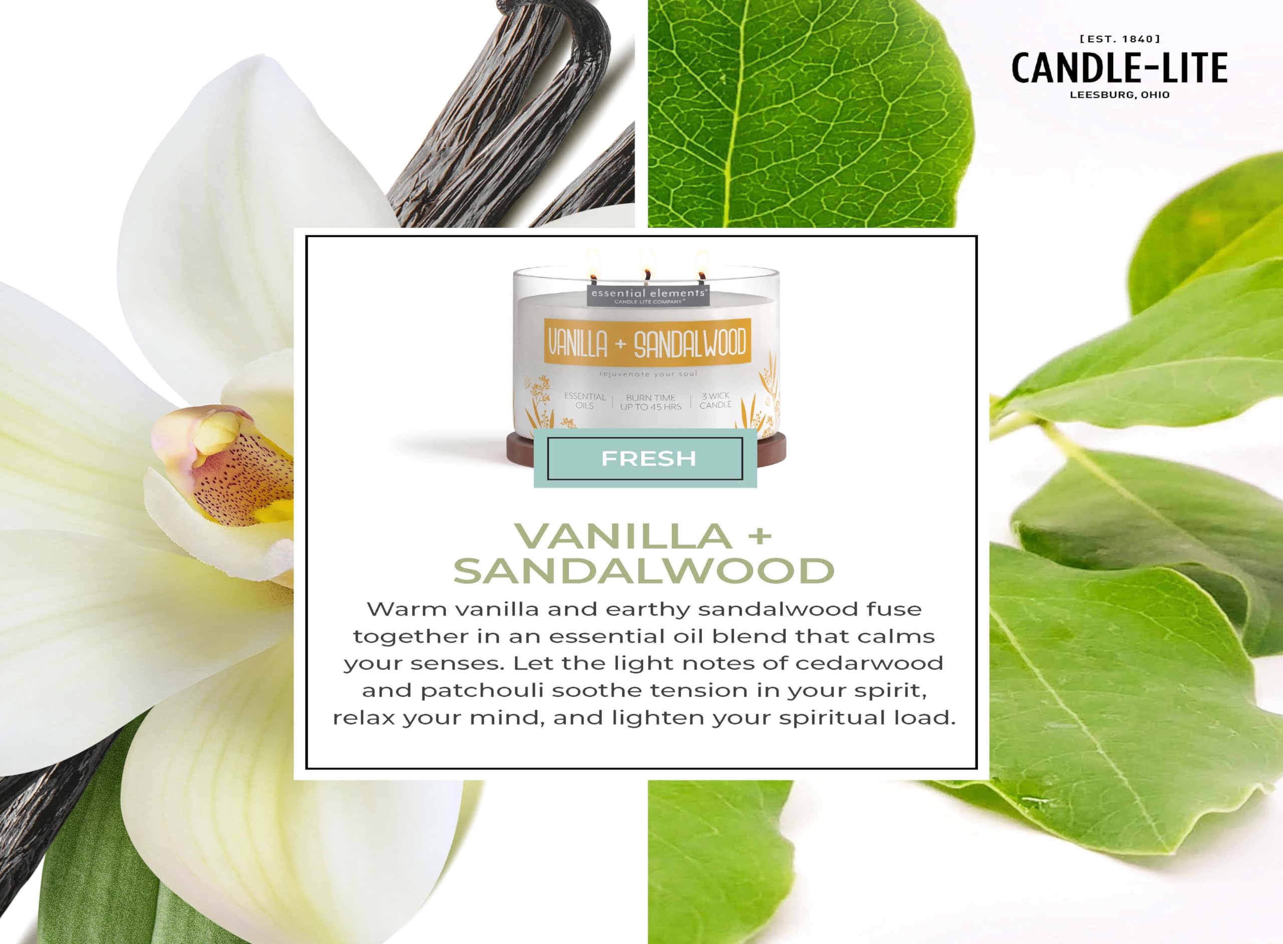 Vanilla & Sandalwood candle burning in a cozy room