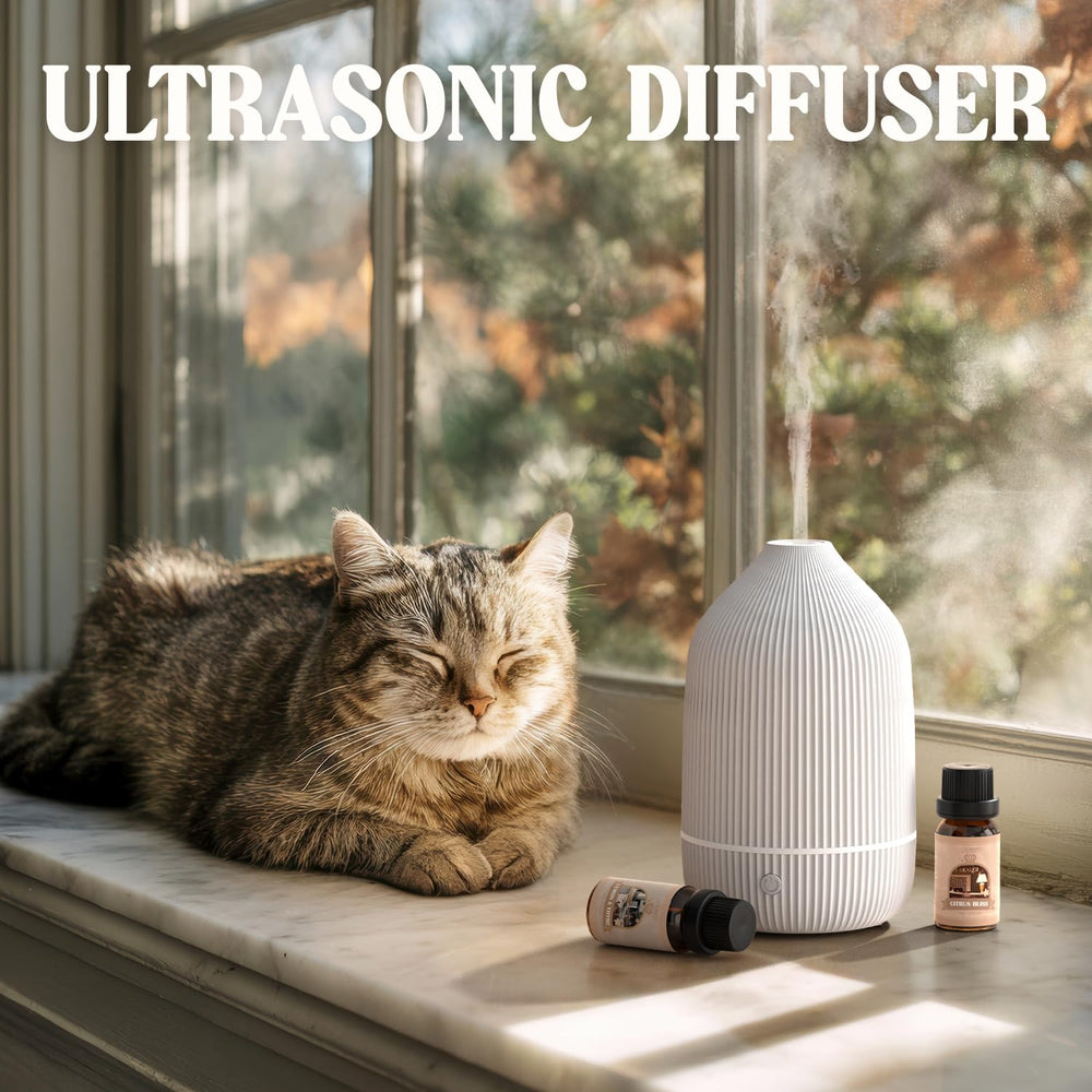 Close-up of LED lights cycling on the diffuser