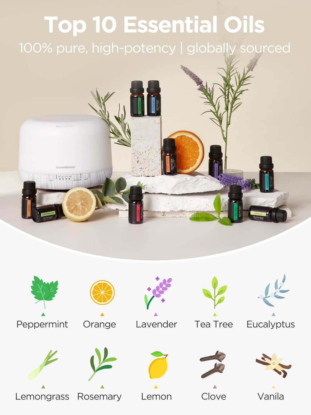 Lavender essential oil bottle (10ml)