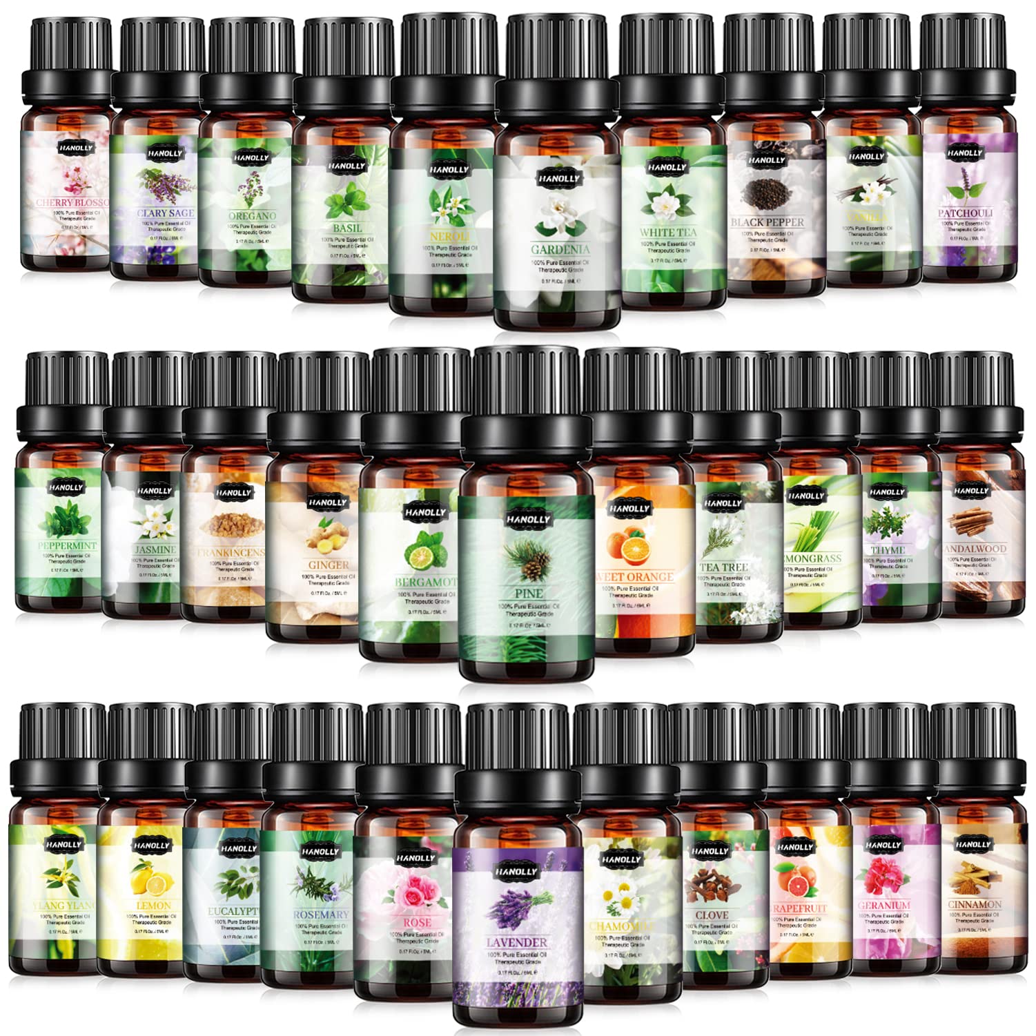 Box of Essential Oils Set with 32 x 5ml bottles