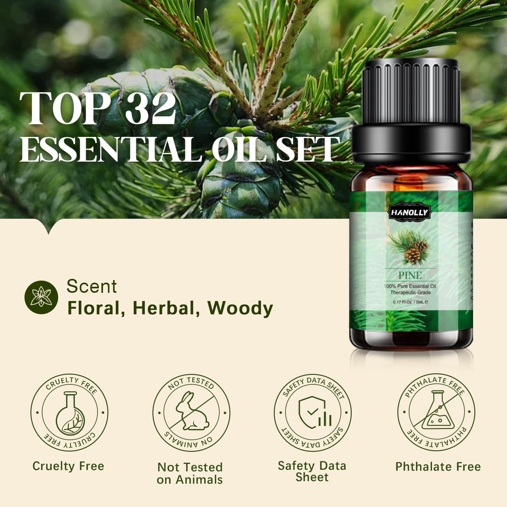 Gift-ready Essential Oils Set packaging box