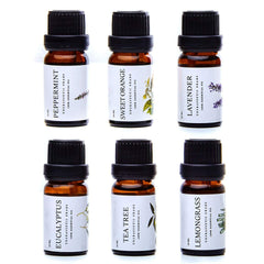 Close-up of the Pure Essentials 6-pack essential oils showing Eucalyptus, Lavender, Lemongrass, Sweet Orange, Peppermint, Tea Tree