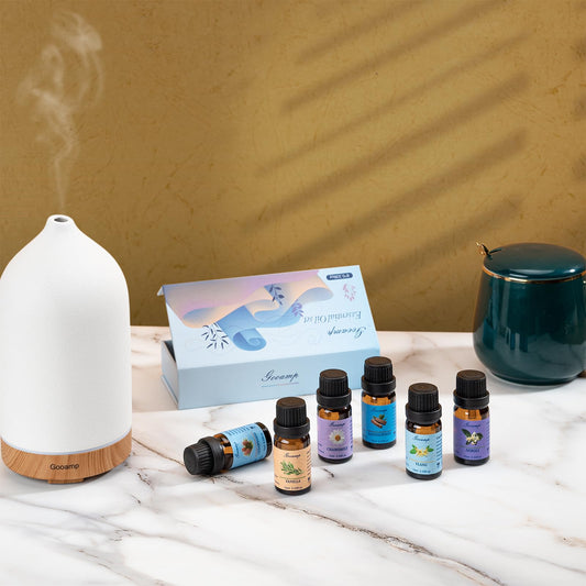 Packaging of Essential Oils Set Top 6 with product label