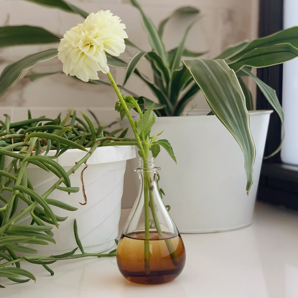 ESSCENTIALS Autumn Leaves in-use spray for everyday layering.