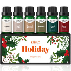 ESSLux Holiday Set Apple Cider fragrance oil 10ml