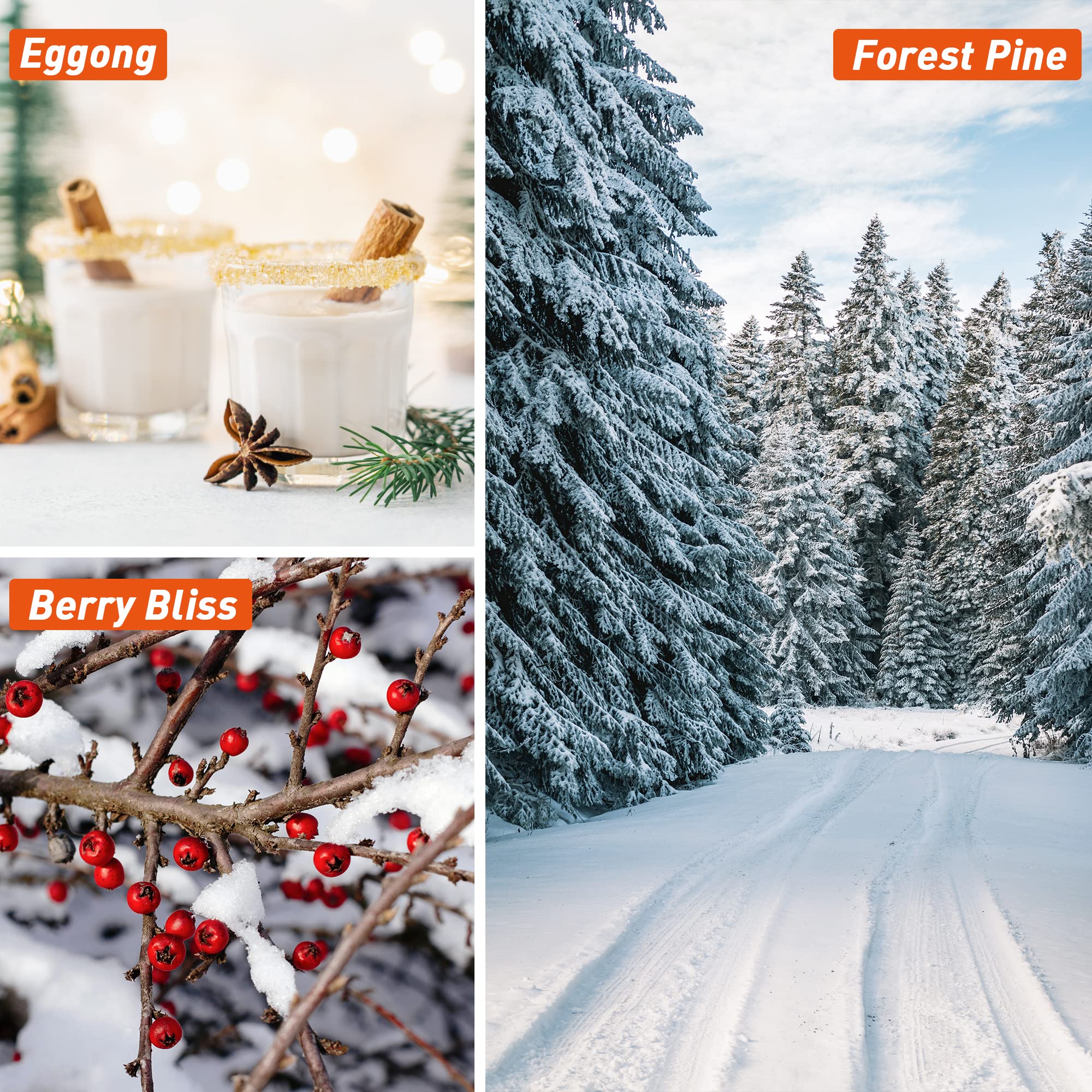 ESSLux Holiday Set Forest Pine fragrance oil 10ml