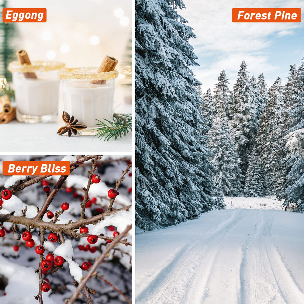ESSLux Holiday Set Forest Pine fragrance oil 10ml