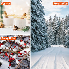 ESSLux Holiday Set Forest Pine fragrance oil 10ml