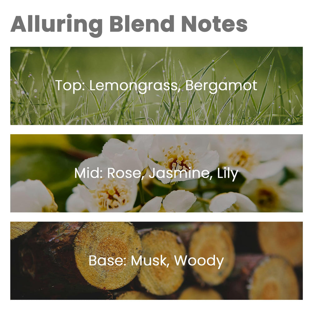 W Hotel-inspired fragrance oil for diffusers – 30ml