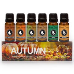 Autumn Set Cinnamon Clove fragrance oil 10ml bottle