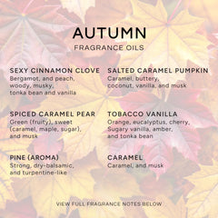Salted Caramel Pumpkin fragrance oil 10ml bottle