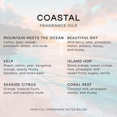Mountain Meets Ocean fragrance oil bottle - 10ml