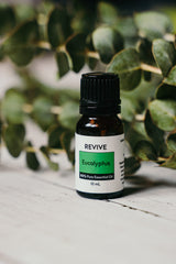 Aromatherapy setup with eucalyptus essential oil