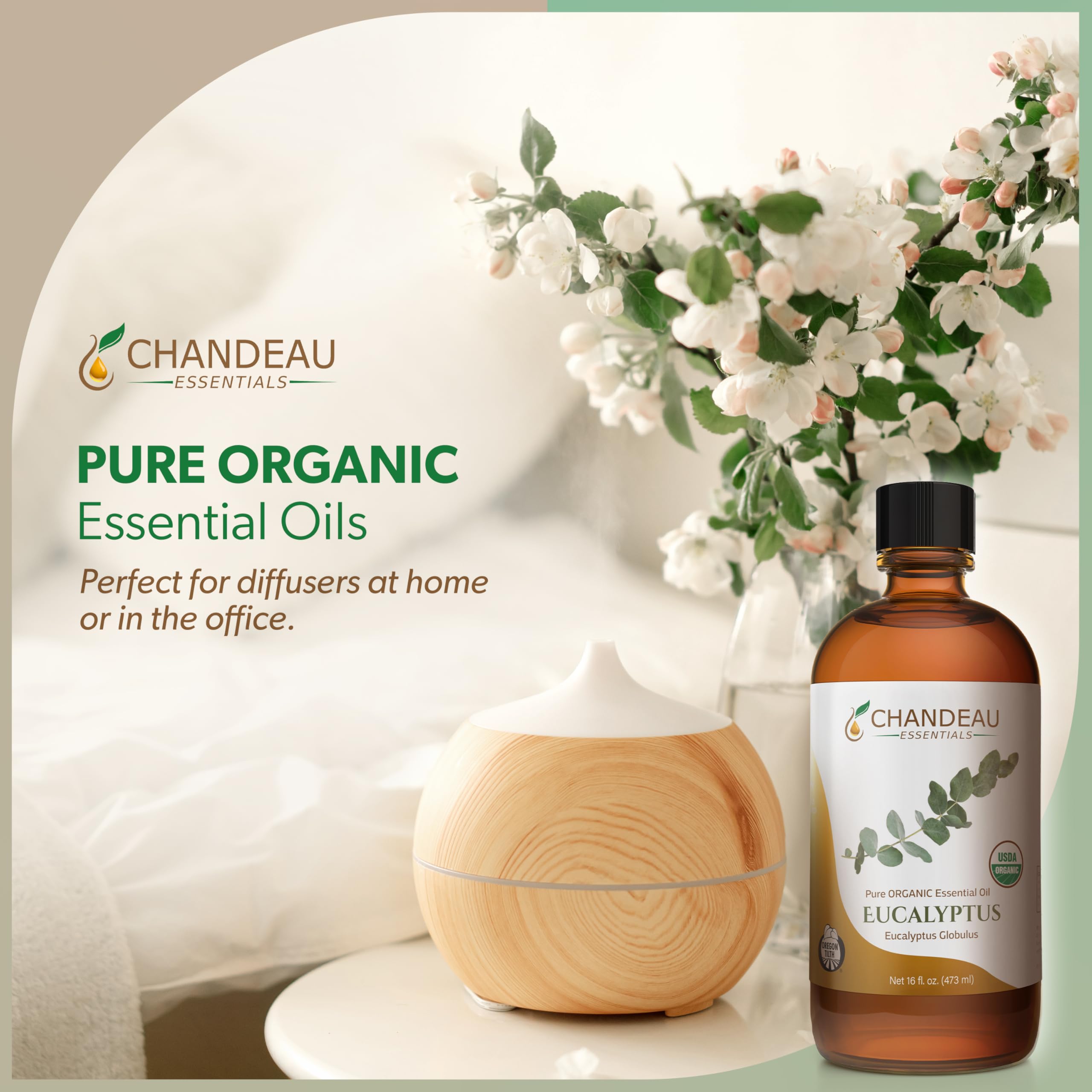 Fresh eucalyptus leaves with essential oil bottle