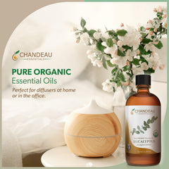 Fresh eucalyptus leaves with essential oil bottle