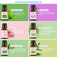 Eucalyptus essential oil bottle 10ml in amber glass