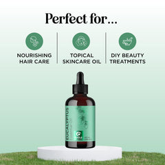 Eucalyptus essential oil for diffuser aromatherapy