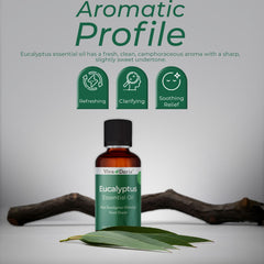 Close-up of eucalyptus globulus essential oil