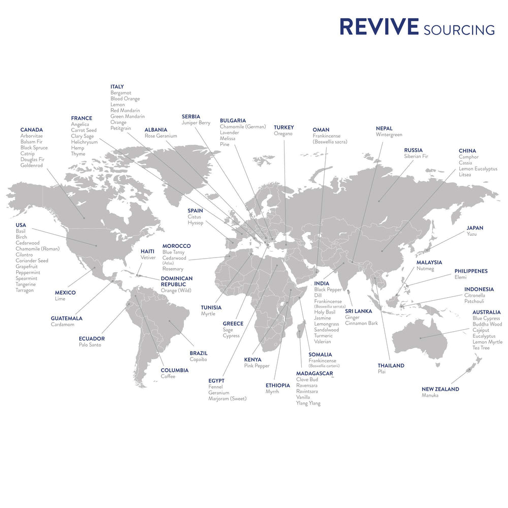 Eucalyptus essential oil for hair care