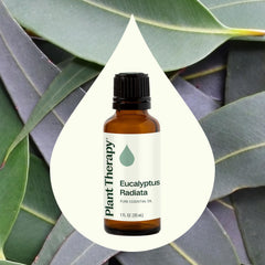 Close-up of Eucalyptus Radiata 30 mL bottle and front label
