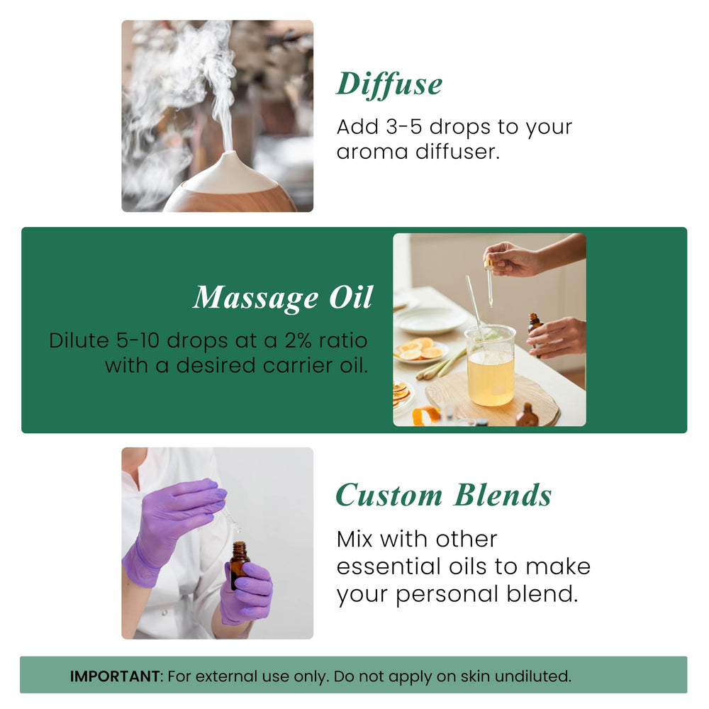 Eucalyptus essential oil used for diffuser and aromatherapy