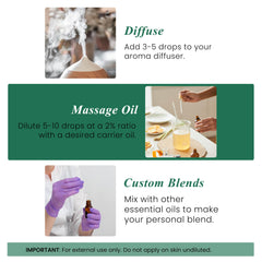 Eucalyptus essential oil used for diffuser and aromatherapy