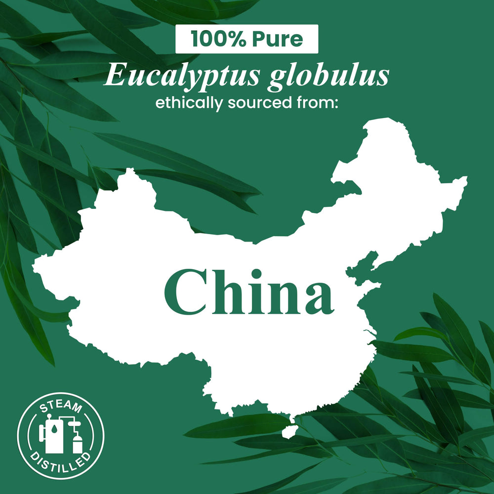 Eucalyptus oil bottled in the USA with quality seal