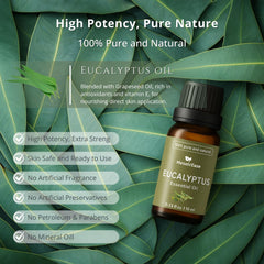 Eucalyptus oil used in skincare products