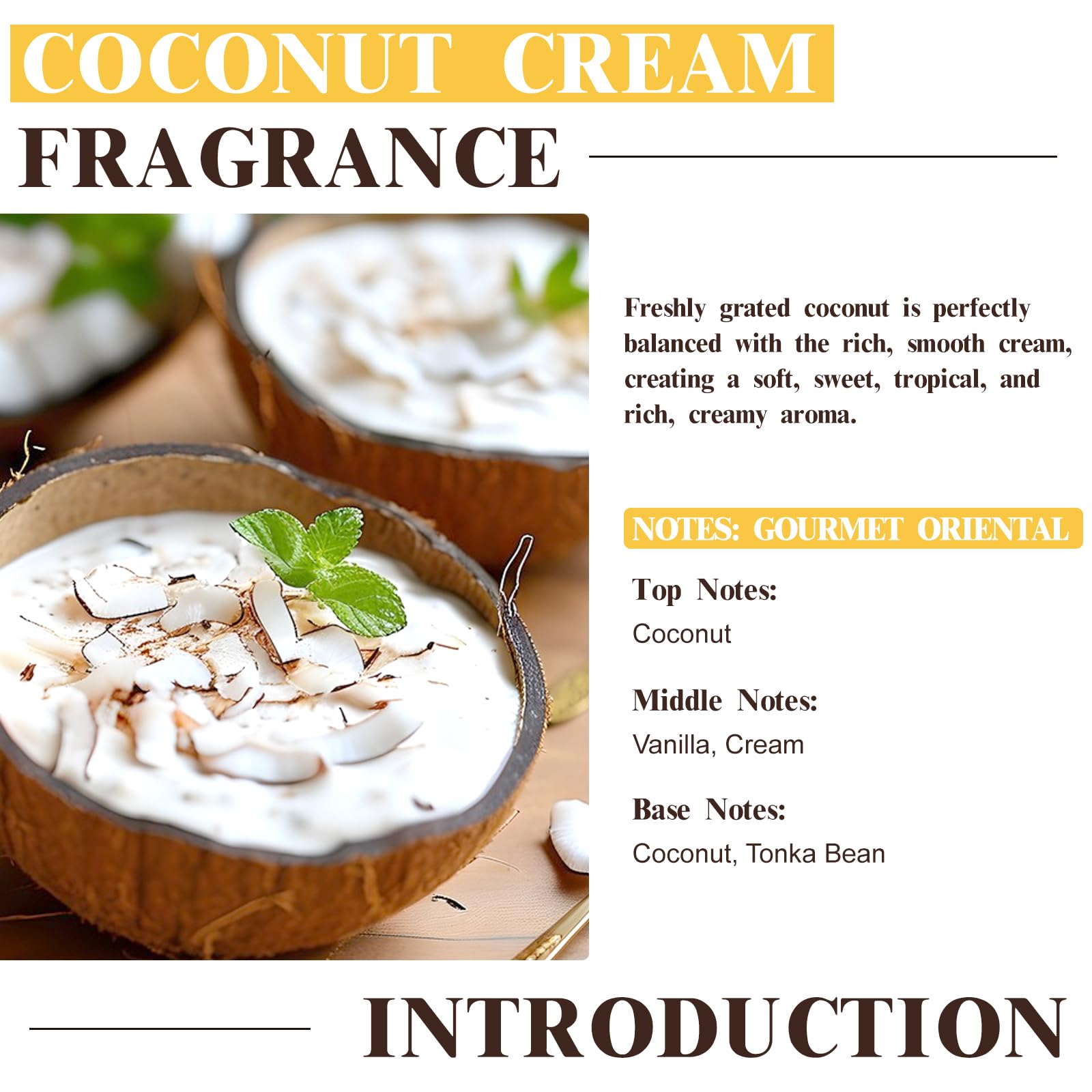 Diffuser setup featuring EUQEE Coconut Cream Fragrance Oil
