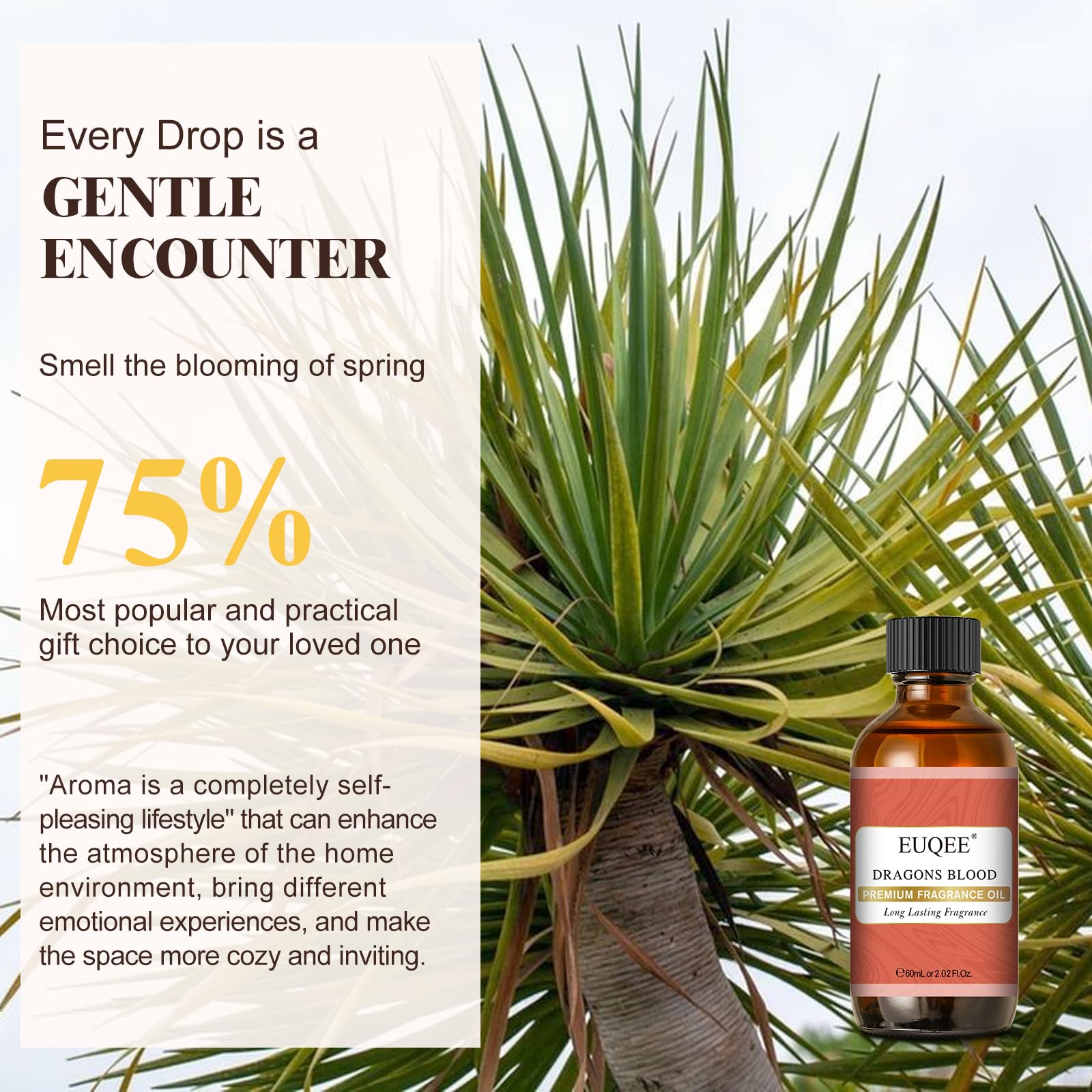 Scent profile sketch of Dragons Blood fragrance notes