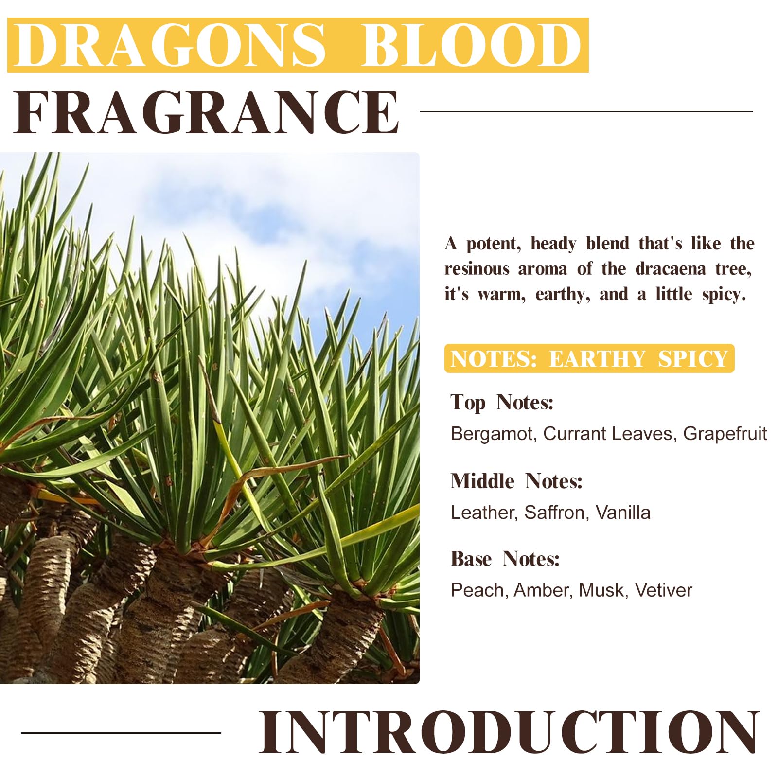Dragons Blood fragrance oil used in soap making