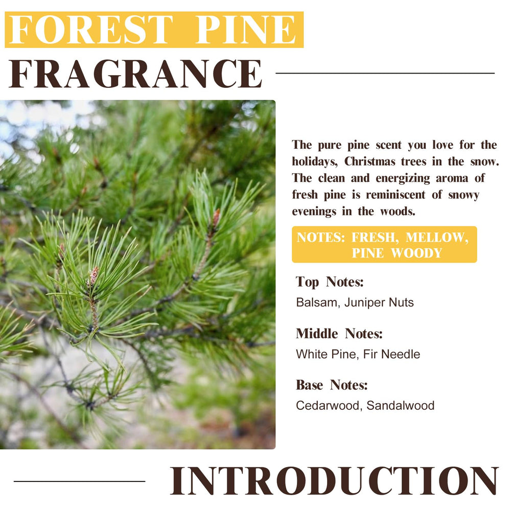 Product packaging of EUQEE Forest Pine Fragrance Oil