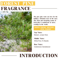 Product packaging of EUQEE Forest Pine Fragrance Oil