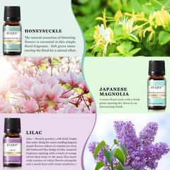Violet Reverie fragrance oil bottle