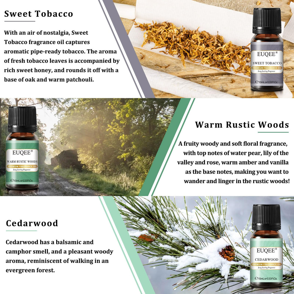 Leather fragrance oil - 10ml amber bottle (EUQEE)