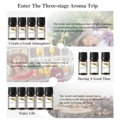 Assorted fragrances including Fresh Linen, Amber, Leather