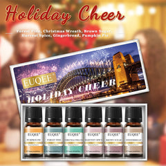 EUQEE Holiday Cheer gift box packaging